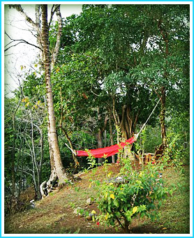 Beach Front Cabana Panama